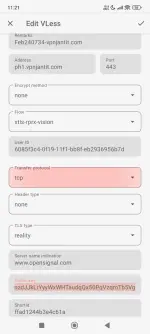 1004053248.webp