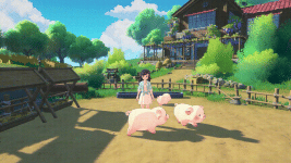 2.gif