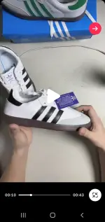 Screenshot_20260222_120959_TikTok.webp