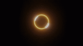 ezgif.com-resize (1).gif