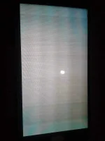 1562502949048-897987102.webp