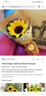 Screenshot_20190708-081039533.webp