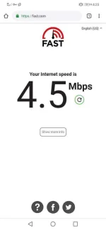 Screenshot_20190709_162524_com.android.chrome.webp