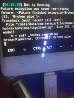 image.webp
