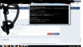 Untitled.webp