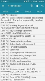 Screenshot_20190711-194153_HTTP Injector.webp