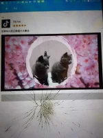 15629830084330.24914529738315472.webp