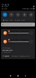Screenshot_2019-07-16-14-57-20-487_com.miui.home.webp