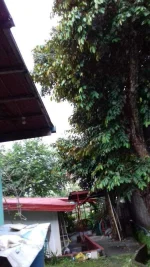 20190718_173124.webp