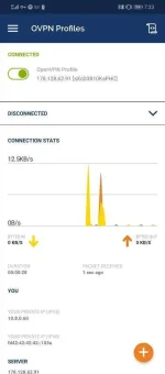 Screenshot_20190722_192343_net.openvpn.openvpn.webp