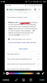 Screenshot_20190723-035137.webp