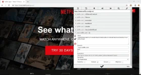 net.webp