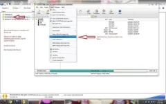 1.webp