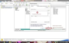 2.webp