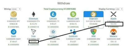 tron vs xrp.webp