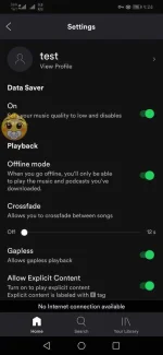 Screenshot_20190726_052421_com.spotify.music.jpg