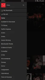 Screenshot_20190726-154903_nêtflïx.webp