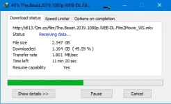 ddss.webp