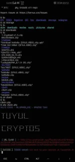 Screenshot_20190728_231221_com.termux.webp