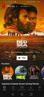 Screenshot_20190802_002603_com.nêtflïx.mediaclient.webp