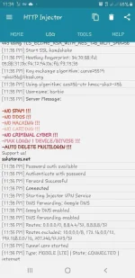 Screenshot_20190802-233943_HTTP Injector.webp