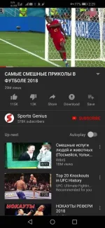 Screenshot_20190803_142920_com.google.android.yôutubê.webp