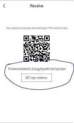1564834759718.webp