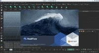 realflow about.webp