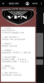 Screenshot_20190807-105652_WENZ VPN.webp