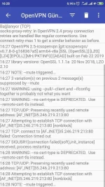 Screenshot_2019-08-07-16-28-12-541_de.blinkt.openvpn.webp