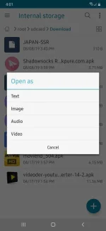 Screenshot_20190808-160106_File Manager.webp