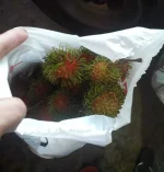 20190810_180832.webp