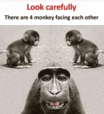 ahahha.webp