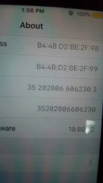 15658485890391928083911.webp