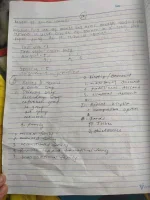 received_475352803256531.webp