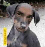 1566624521746.webp