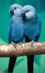 1566710735826.webp
