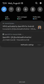 Screenshot_20190828-072028_OpenVPN for Android.webp
