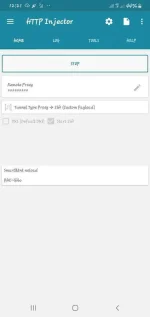 Screenshot_20190828-122101_HTTP Injector.webp