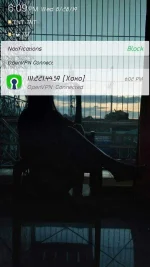 Screenshot_20190828_180925.webp