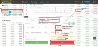 trx_market.webp