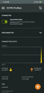 Screenshot_2019-08-31-11-33-53-509_net.openvpn.openvpn.webp