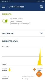 Screenshot_20190831-133143_OpenVPN Connect.webp