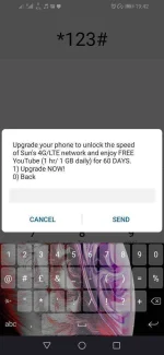 Screenshot_20190831_194219_com.android.phone.webp
