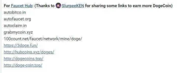 dogee.webp