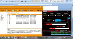 bug.webp