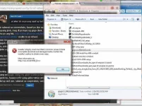 11.webp