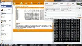 BUG.webp