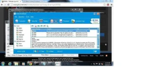 SS.webp