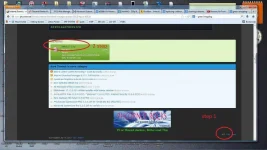 step.webp